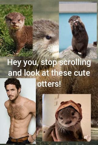 gay otter porn